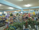 supermarket-toplica-12